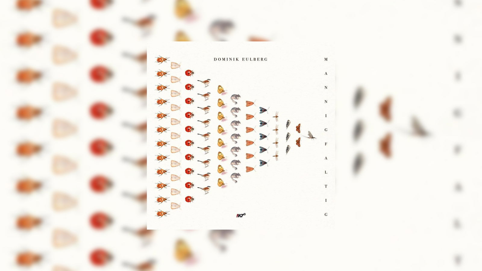 Dominik Eulberg - Mannigfaltig  Header