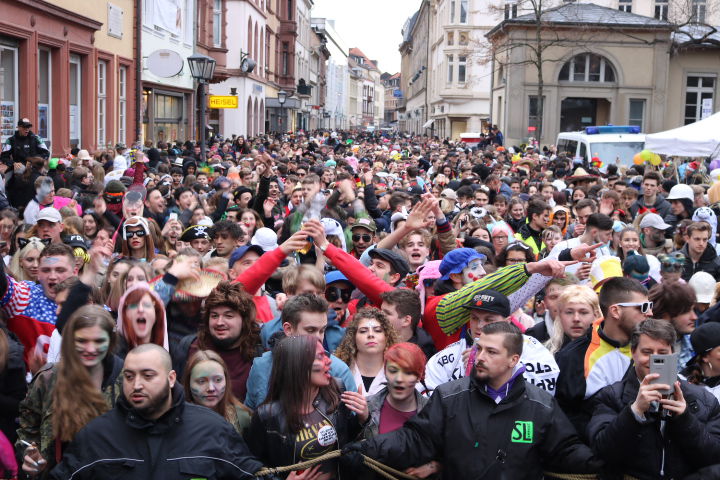 Faschingsumzug Heidelberg 2019