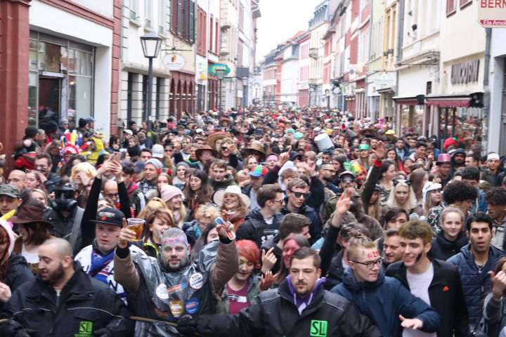 Faschingsumzug Heidelberg 2019