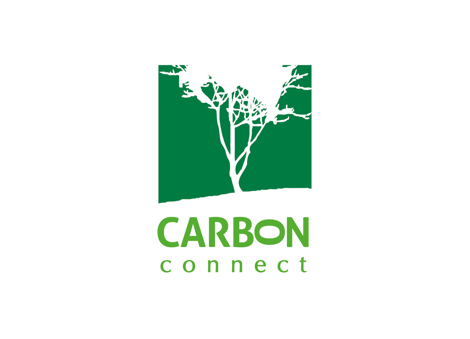 Carbon Connect