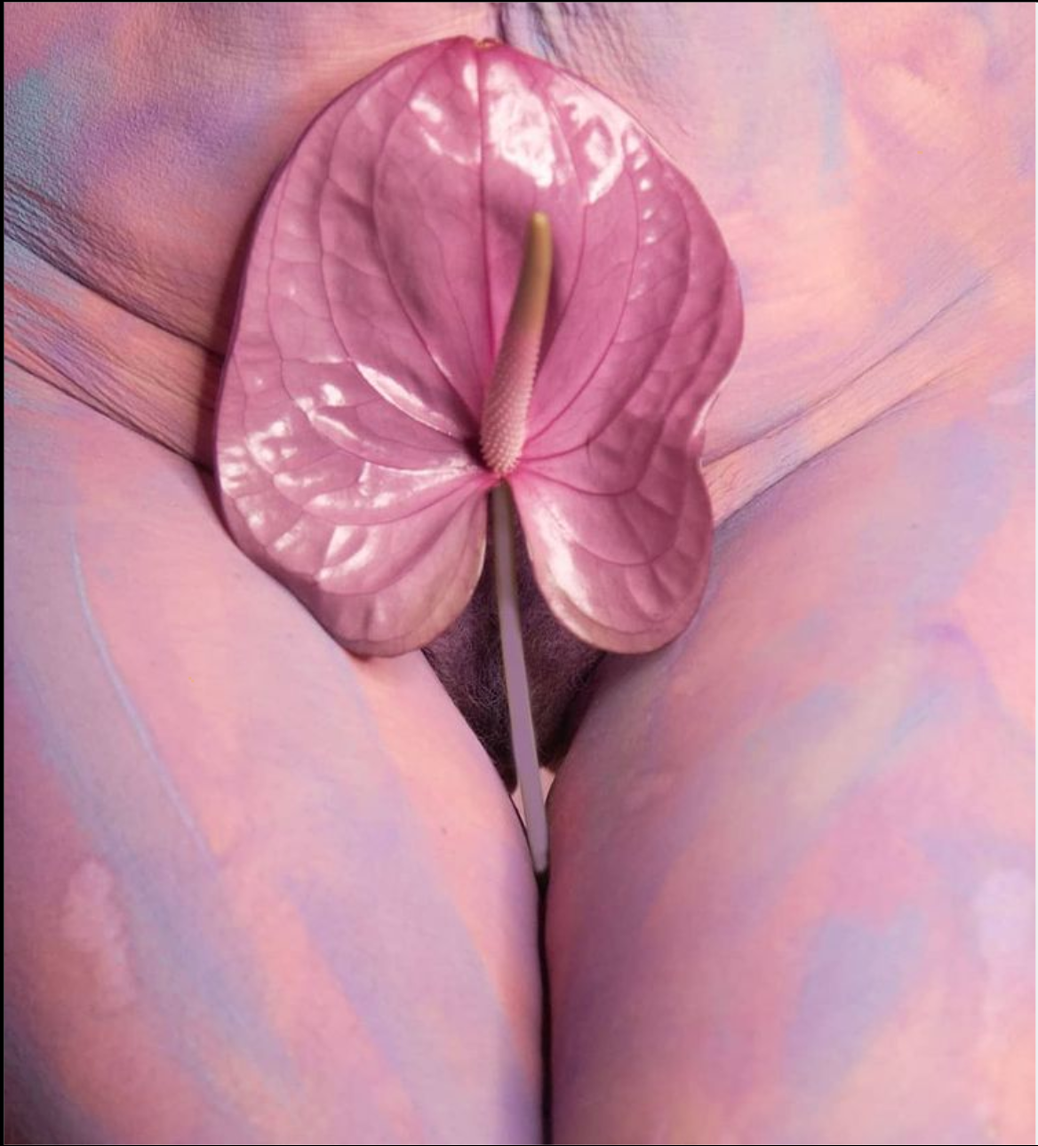 Foto: Alina Goss_- Untitled