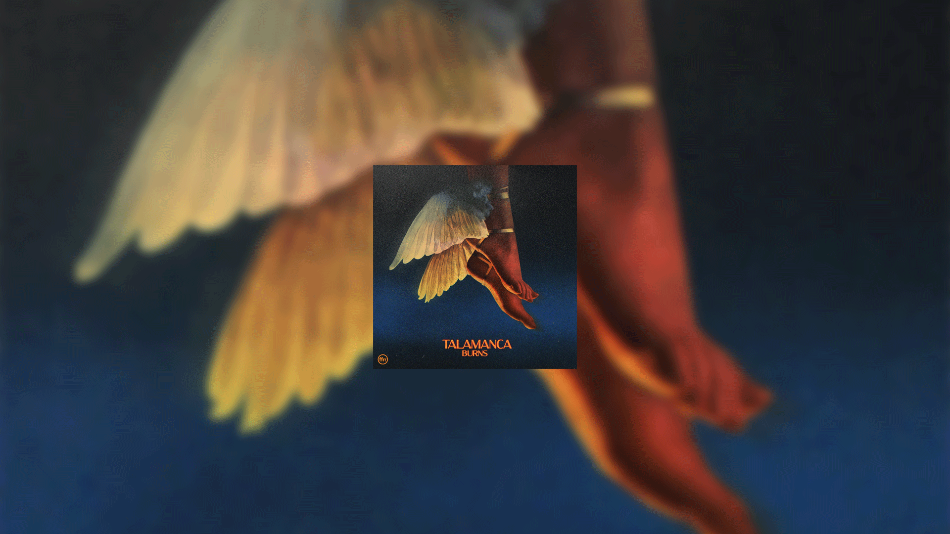 Talamanca - Burns