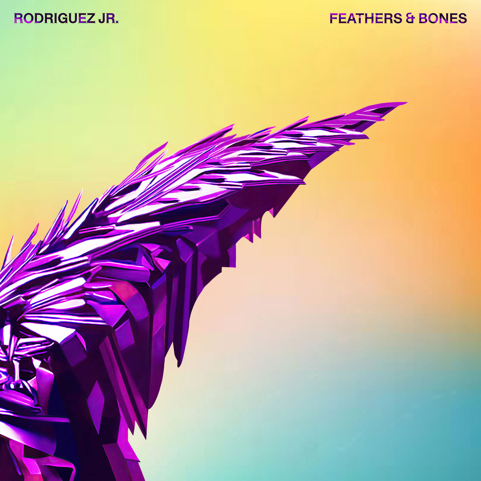 RODRIGUEZ JR. - FEATHERS & BONES