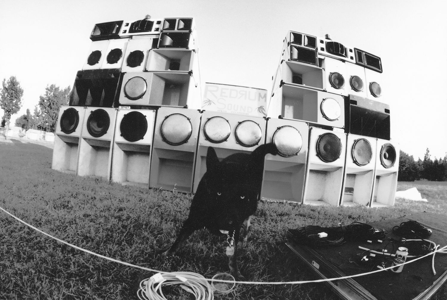 Foto: Giandomenico Carpentieri