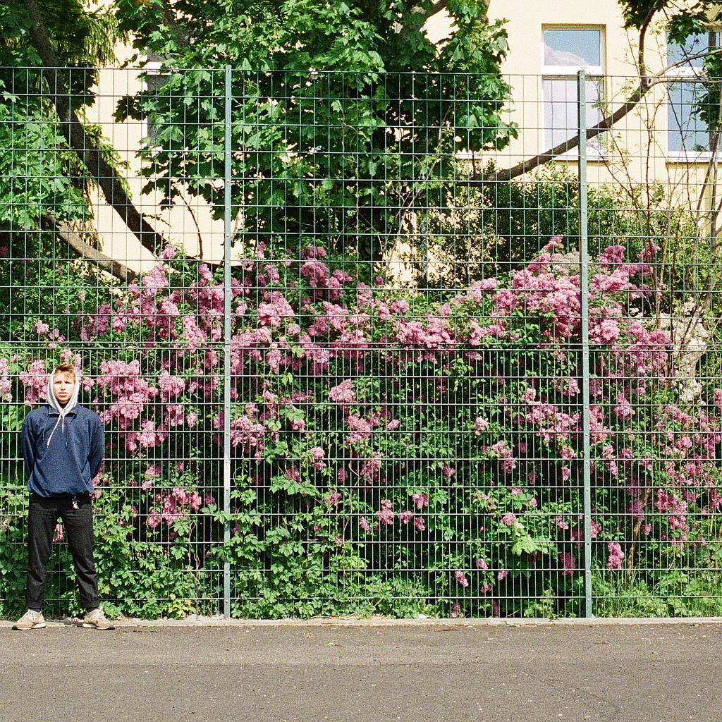 Holly North "NO CITY, NO SEA" 