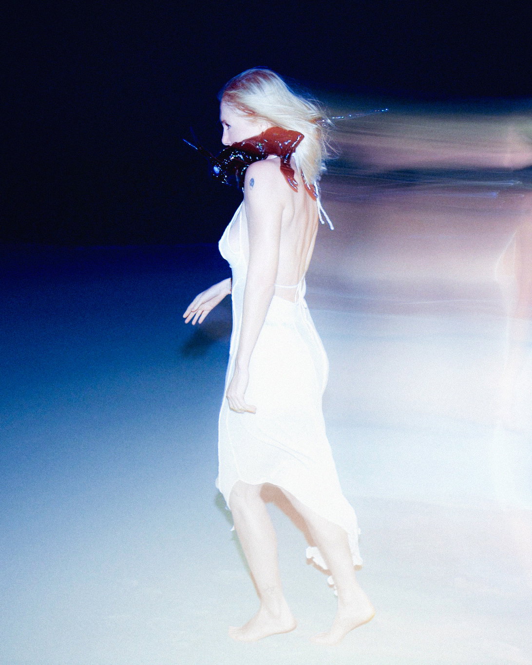 Ellen Allien