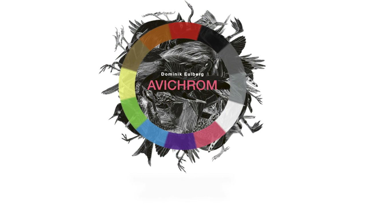 "Avichrom" - Explanation Video