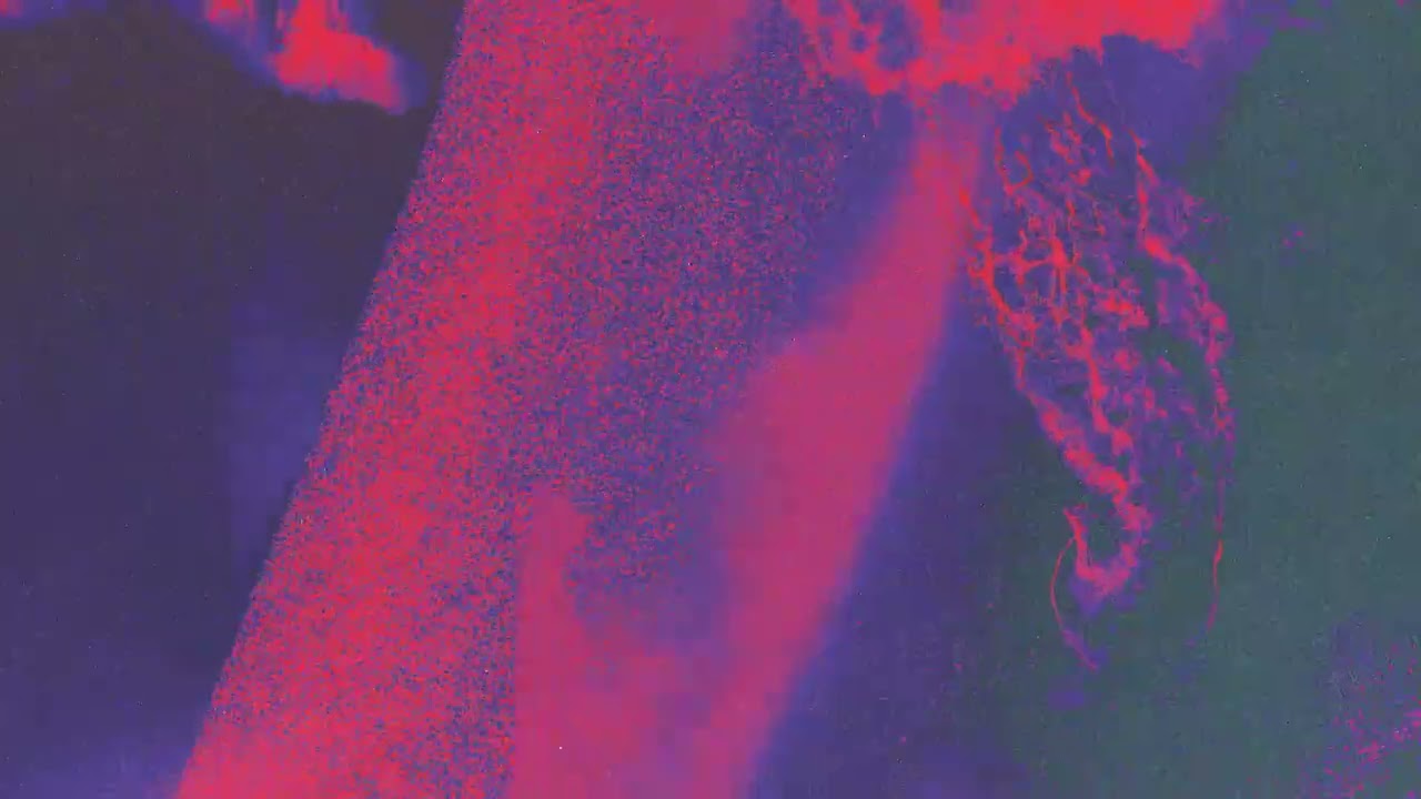 Le Youth - Reminders [This Never Happened]